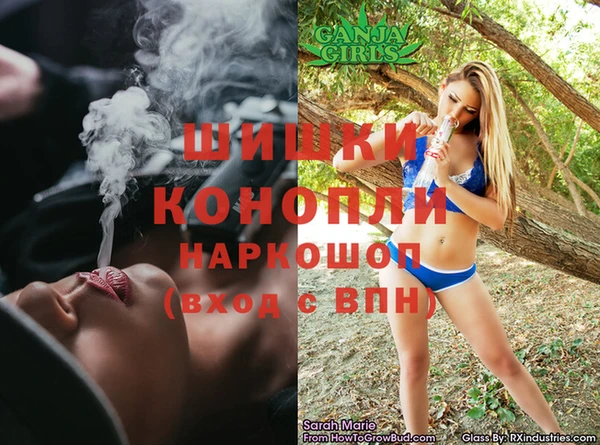 mix Богородицк